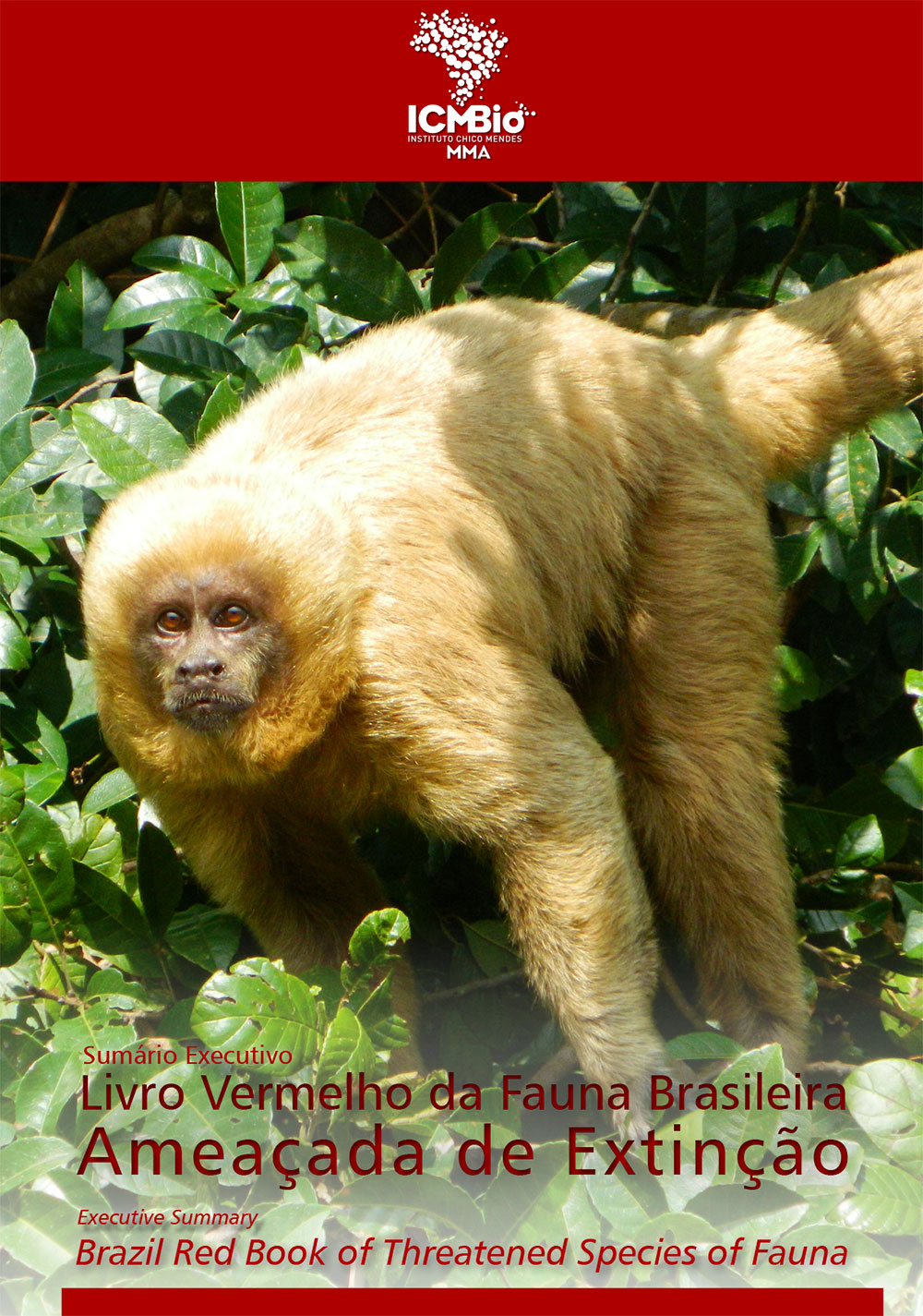 livro_vermelho_ed_2016