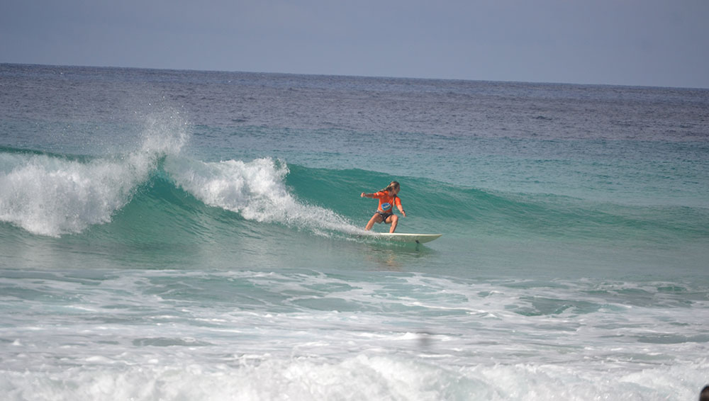 Maite_Ortega_FOTO_ProjetoGolfinhoRotador