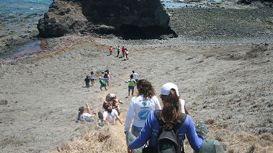 ferias-ecologicas-destaque