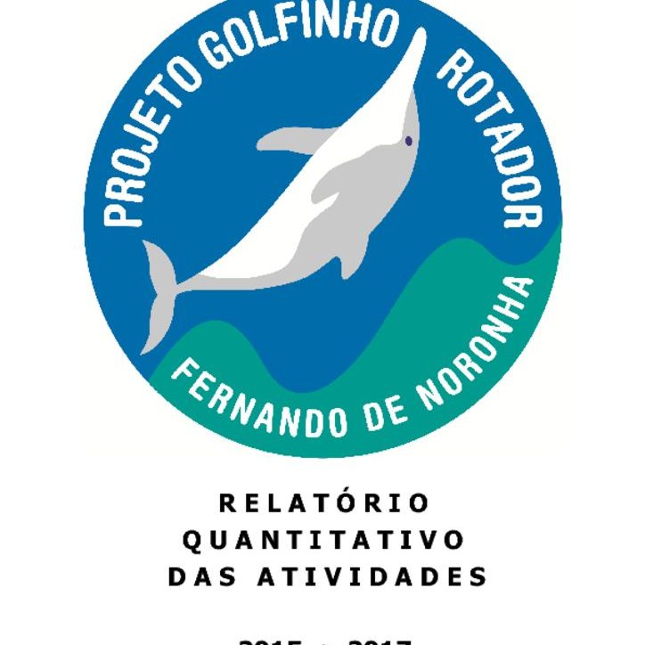 thumbnail of Relatorio_PGR_Esforço e Público_2015a2017