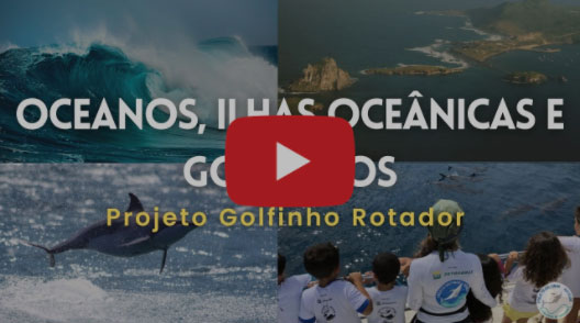oceano-ilha-golfinho