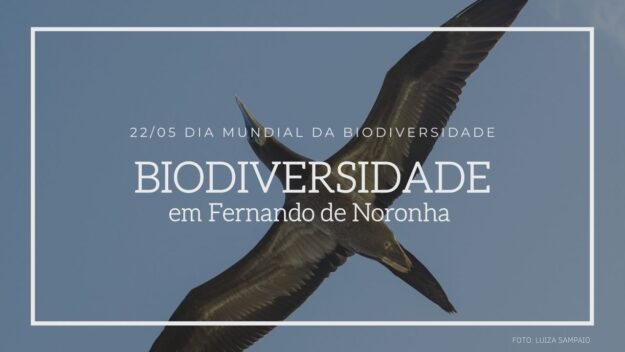 dia da biodiversidade 21maio21