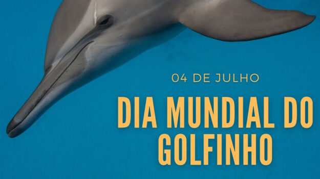 dia-dos-golfinhos-16×9