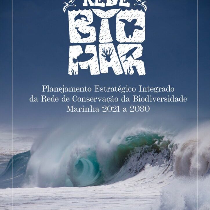 thumbnail of Planejamento Estratégico Integrado da Rede de Conservação da Biodiversidade Marinha 2021 a 2030