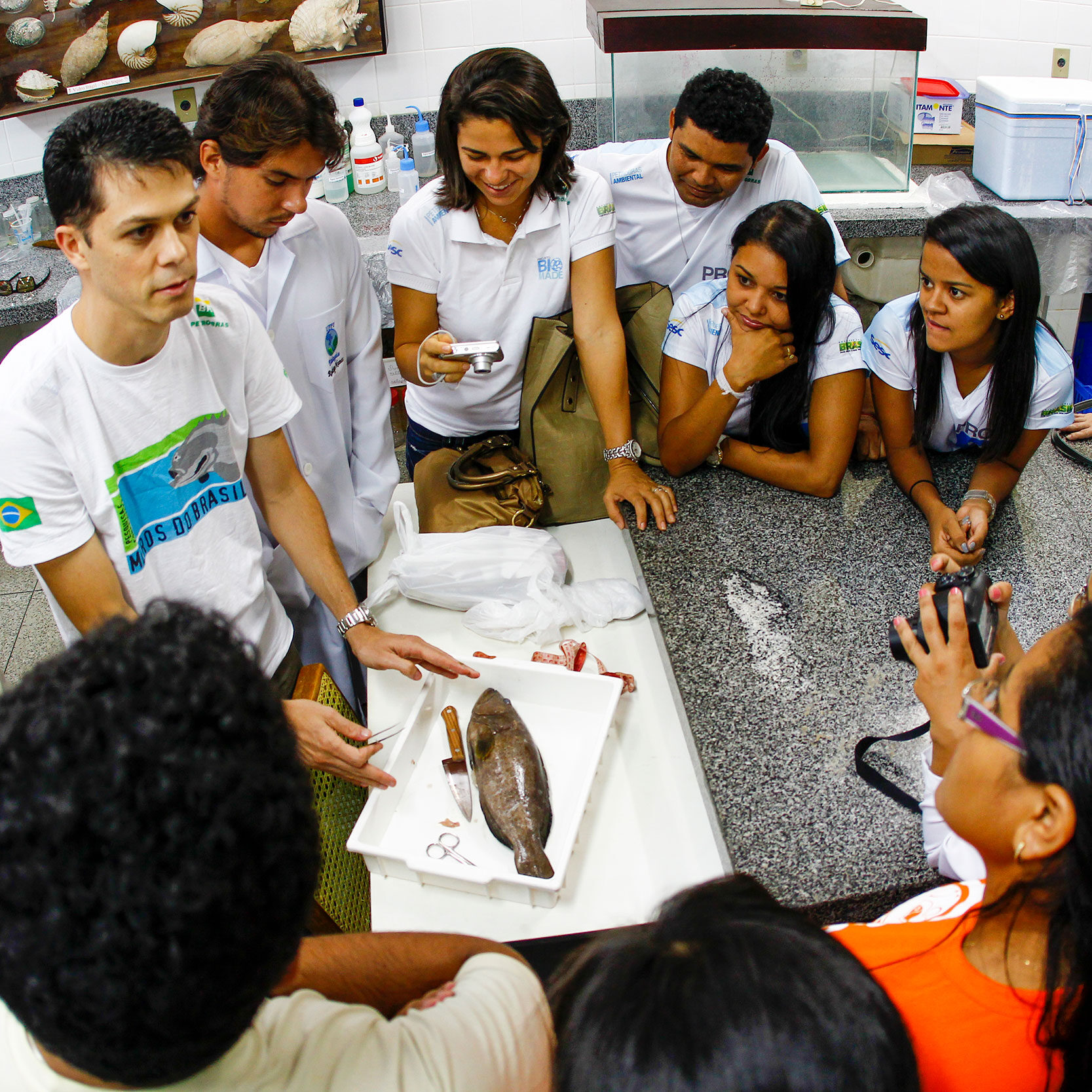 9_ProjetoMerosdoBrasil