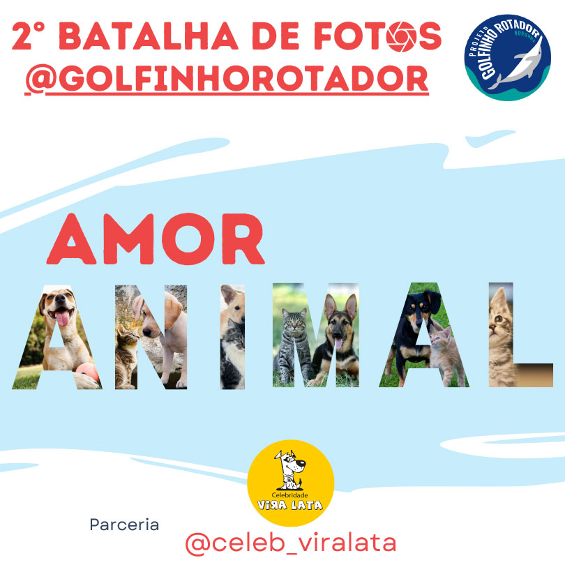 Batalha-de-fotos-Amor-animal-2022.04.04-1