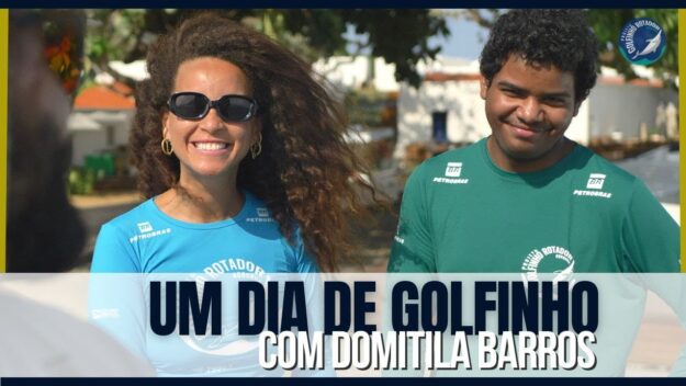 um dia de golfinho